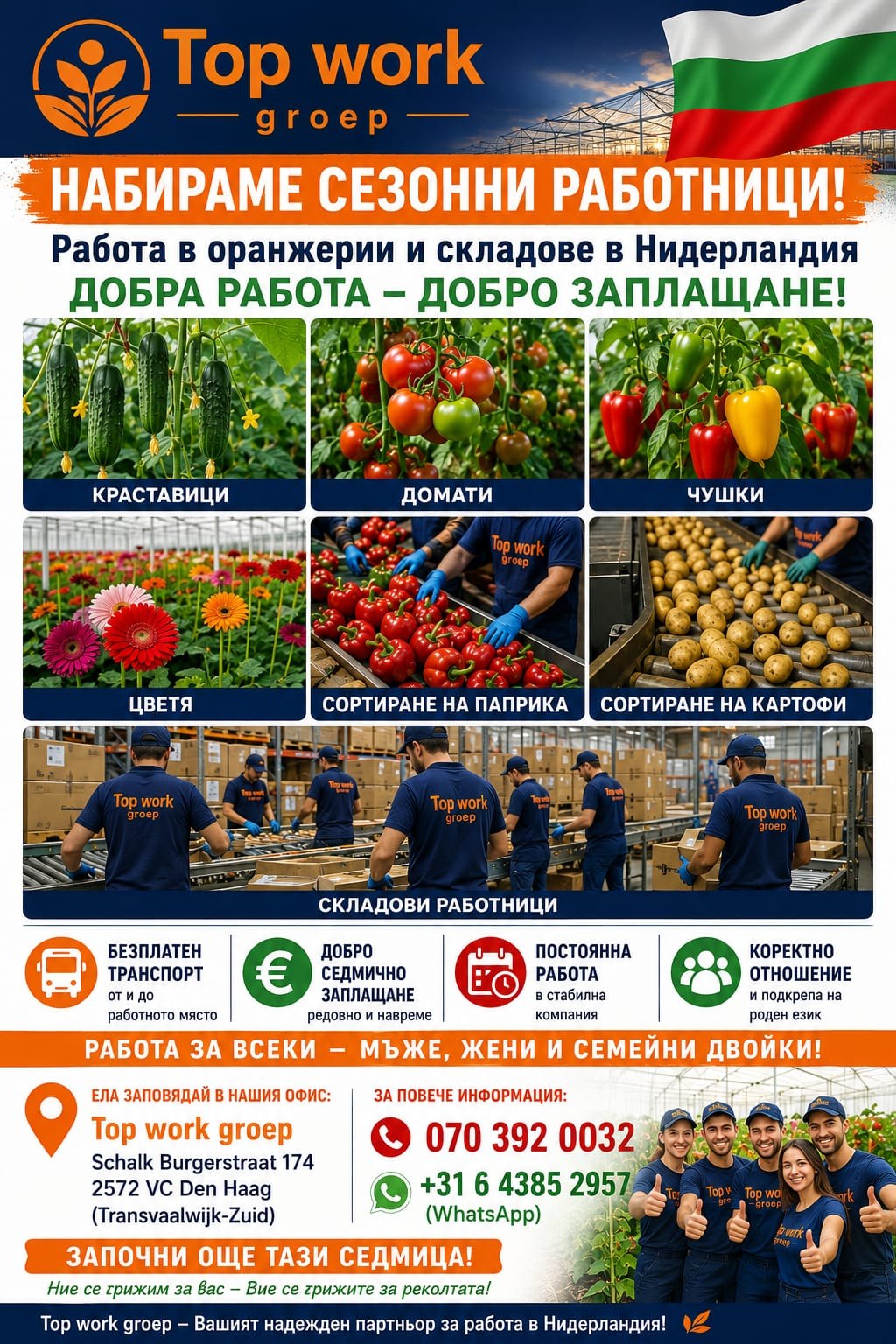 Top work groep набира сезонни работници за оранжерии и складове в Нидерландия