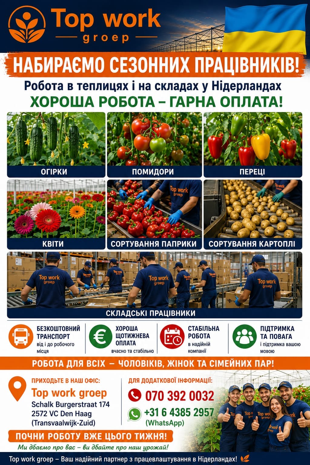 Top work groep набира сезонних працівників для теплиць і складів у Нідерландах